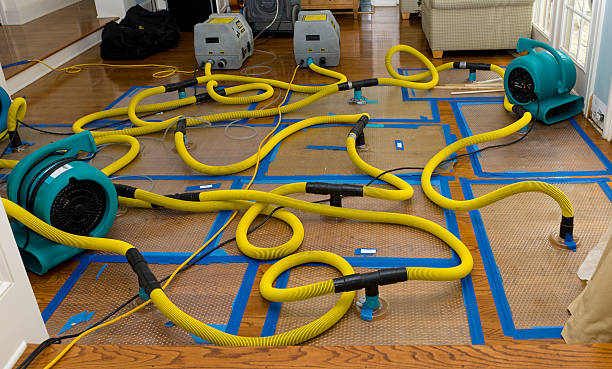 Professional Water Extraction technician working in Princeton, WI